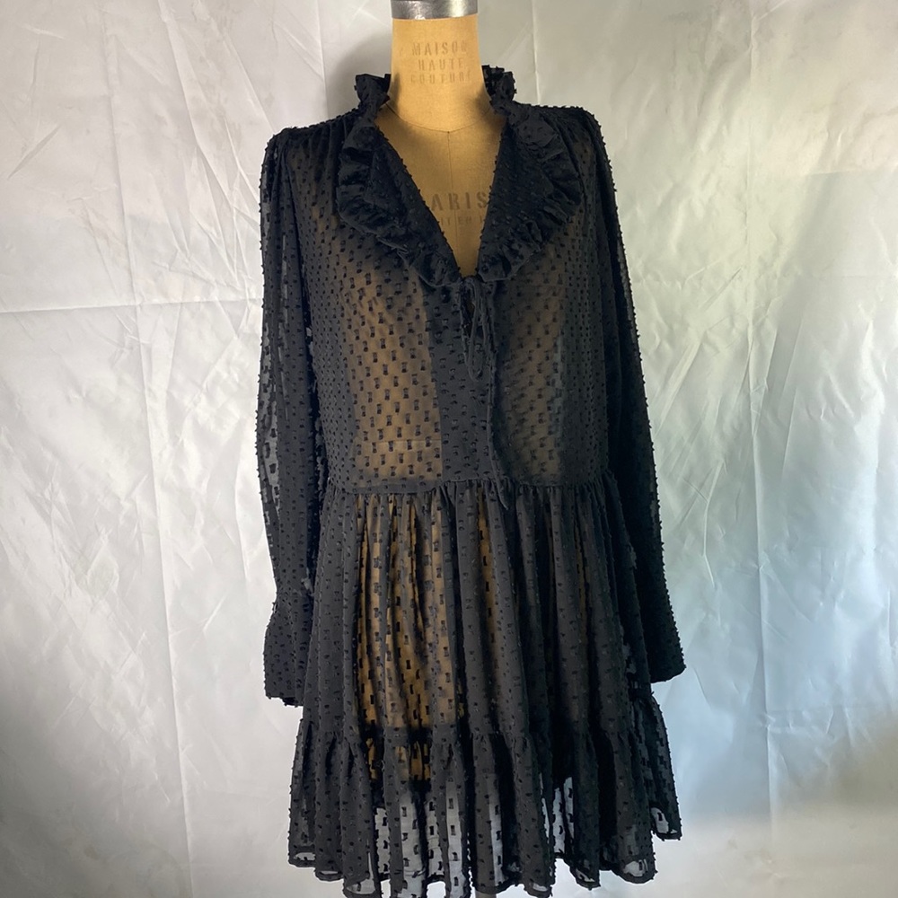 H&M Black Sheer Swiss Dot Ruffle Swim Coverup